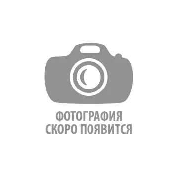 Шар от интернет-магазина цветов в 