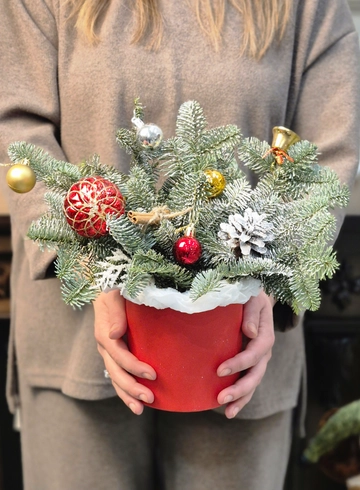 Нобилис в снегу от интернет-магазина цветов в 