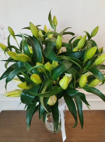 Букет из лилий от интернет-магазина цветов в 