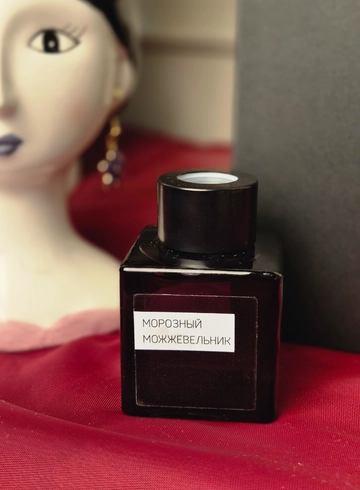 Диффузор &laquo;Морозный можжевельник&raquo; 50 мл от интернет-магазина цветов в 